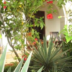 Отель The Tandem Guesthouse Шри-Ланка, Хиккадува - отзывы, цены и фото номеров - забронировать отель The Tandem Guesthouse онлайн фото 4