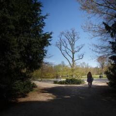Hotel Atlas Vondelpark спортивное сооружение