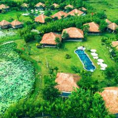 Отель Allamanda Estate Вьетнам, Хойан - отзывы, цены и фото номеров - забронировать отель Allamanda Estate онлайн фото 5