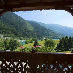 Du Lac Vital Mountain Hotel in Molveno, Italy from 150$, photos, reviews - zenhotels.com balcony