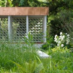 Отель Signau House & Garden Швейцария, Цюрих - отзывы, цены и фото номеров - забронировать отель Signau House & Garden онлайн фото 7
