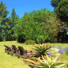 Отель Rosedale Organic Farm Bed & Breakfast Южная Африка, Аддо - отзывы, цены и фото номеров - забронировать отель Rosedale Organic Farm Bed & Breakfast онлайн фото 4