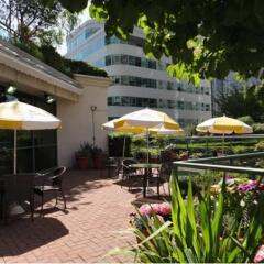 Отель Rosedale On Robson Suite Hotel Канада, Ванкувер - отзывы, цены и фото номеров - забронировать отель Rosedale On Robson Suite Hotel онлайн фото 10