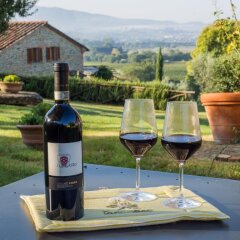 Отель Agriturismo Il Palazzo Ареццо гостиничный бар