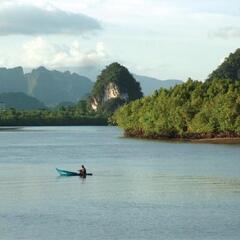 Отель Krabi River Hotel Таиланд, Краби - отзывы, цены и фото номеров - забронировать отель Krabi River Hotel онлайн приотельная территория фото 2