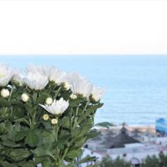 Отель Apartamento Sol del Mar Mediterraneo Фуэнхирола пляж фото 2