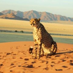Kanaan N/a'an ku sê Desert Retreat in Windhoek, Namibia from 422$, photos, reviews - zenhotels.com photo 3