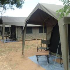 Отель Mahoora Tented Safari Camp - Kumana Шри-Ланка, Яла - отзывы, цены и фото номеров - забронировать отель Mahoora Tented Safari Camp - Kumana онлайн фото 5