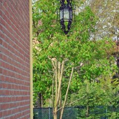 Отель Casa Country B&B Италия, Мирано - отзывы, цены и фото номеров - забронировать отель Casa Country B&B онлайн фото 13