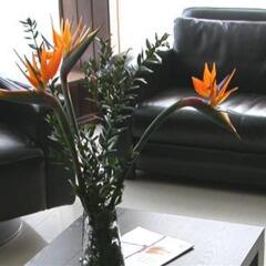 Hotel Sao Jose городской автобус