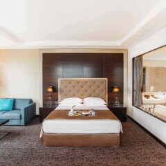 Отель The Biltmore Tbilisi комната для гостей фото 2