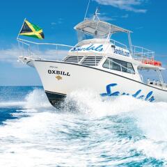 Отель Sandals Montego Bay - All Inclusive - Couples Only Ямайка, Монтего-Бей - отзывы, цены и фото номеров - забронировать отель Sandals Montego Bay - All Inclusive - Couples Only онлайн приотельная территория