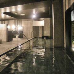 Hotel Route-Inn Tokyo Toyocho бассейн