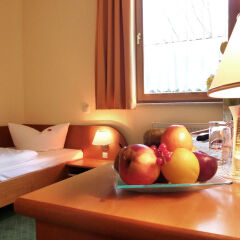 Отель Landhotel Dresden в номере