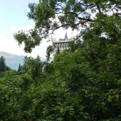 Отель Tree-Tops, Chalet фото 6