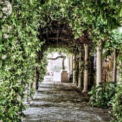 Отель San Sebastiano Garden Италия, Венеция - отзывы, цены и фото номеров - забронировать отель San Sebastiano Garden онлайн фото 5
