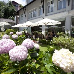 Отель Muong Thanh Da Lat фото 8