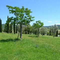 Отель Antico Borgo Casalappi фото 19