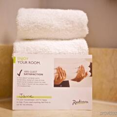 Отель Radisson Hotel Toronto East Канада, Торонто - отзывы, цены и фото номеров - забронировать отель Radisson Hotel Toronto East онлайн ванная фото 2