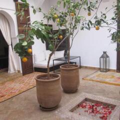 Отель Riad Azza Марокко, Марракеш - отзывы, цены и фото номеров - забронировать отель Riad Azza онлайн фото 6