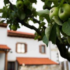 Отель Casa de la Cadena фото 5