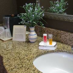 Отель Econo Lodge Inn & Suites Hardeeville I-95 Хардивилль ванная
