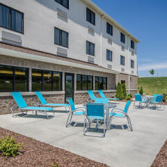 Отель Comfort Inn с домашними животными