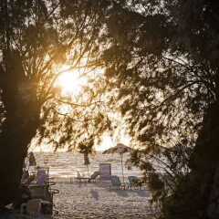 Отель Yiannis Apartments Греция, Калимнос - отзывы, цены и фото номеров - забронировать отель Yiannis Apartments онлайн сауна