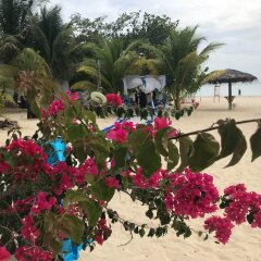 Отель Beachcomber Club Resort Ямайка, Саванна-Ла-Мар - отзывы, цены и фото номеров - забронировать отель Beachcomber Club Resort онлайн пляж