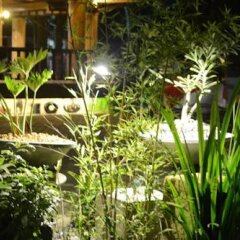 DM Residente Hotel Inns & Villas фото 2