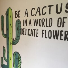 Отель Baja's Cactus Hostel Мексика, Кабо-Сан-Лукас - отзывы, цены и фото номеров - забронировать отель Baja's Cactus Hostel онлайн фото 12