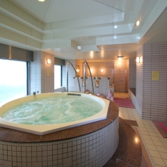 Bayside Hotel Azur Takeshiba Hamamatsucho спа