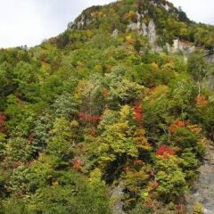 Sounkyo Choyo Resort Hotel Камикава фото 2