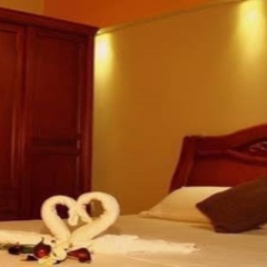 Отель Transit Inn Мале с домашними животными