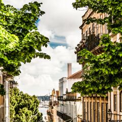 Отель Casinha Das Flores Лиссабон фото 7