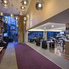 Отель Las Suites Campos Eliseos Мехико фото 9