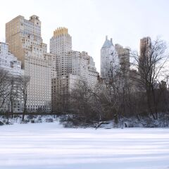 Отель Ritz-Carlton New York Central Park США, Нью-Йорк - отзывы, цены и фото номеров - забронировать отель Ritz-Carlton New York Central Park онлайн фото 8
