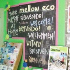 Хостел Mellow Barcelona Барселона спортивное сооружение