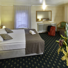 Отель Mrak Словения, Любляна - отзывы, цены и фото номеров - забронировать отель Mrak онлайн комната для гостей фото 5