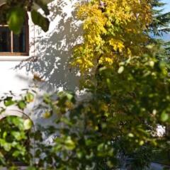 Hotel Lambrechtshof Аппиано-сулла-Страда-дель-Вино фото 6