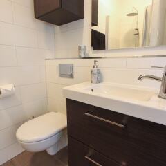 Apartment T6 in Reykjavik, Iceland from 433$, photos, reviews - zenhotels.com bathroom