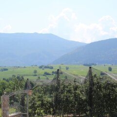 Отель Agriturismo Maso Alle Rose Горнолыжный курорт Скирама Доломити Адамелло Брента приотельная территория