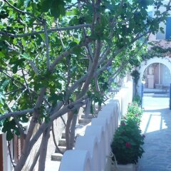 Отель Villa Kamari Star Греция, Остров Санторини - отзывы, цены и фото номеров - забронировать отель Villa Kamari Star онлайн фото 4