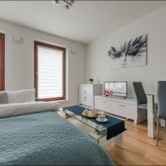 Отель P&O Apartments Solec Польша, Варшава - отзывы, цены и фото номеров - забронировать отель P&O Apartments Solec онлайн комната для гостей фото 5