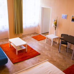 Апартаменты Lidicka Apartments комната для гостей фото 5