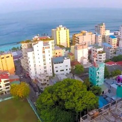 Отель The Melrose Мальдивы, Мале - отзывы, цены и фото номеров - забронировать отель The Melrose онлайн фото 21