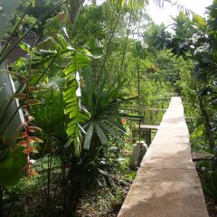 Отель Mook Lanta Boutique Resort And Spa Ланта фото 11