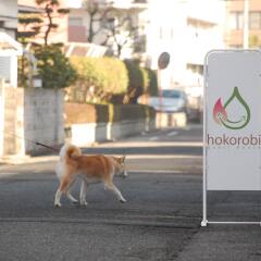 Отель Guest House Hokorobi Фукуока с домашними животными