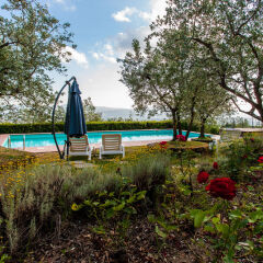 Отель Agriturismo Fattoria La Torre Реггелло детские мероприятия фото 2