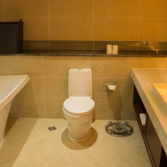 Отель Bintumani Hotel Сьерра-Леоне, Фритаун - отзывы, цены и фото номеров - забронировать отель Bintumani Hotel онлайн ванная фото 2